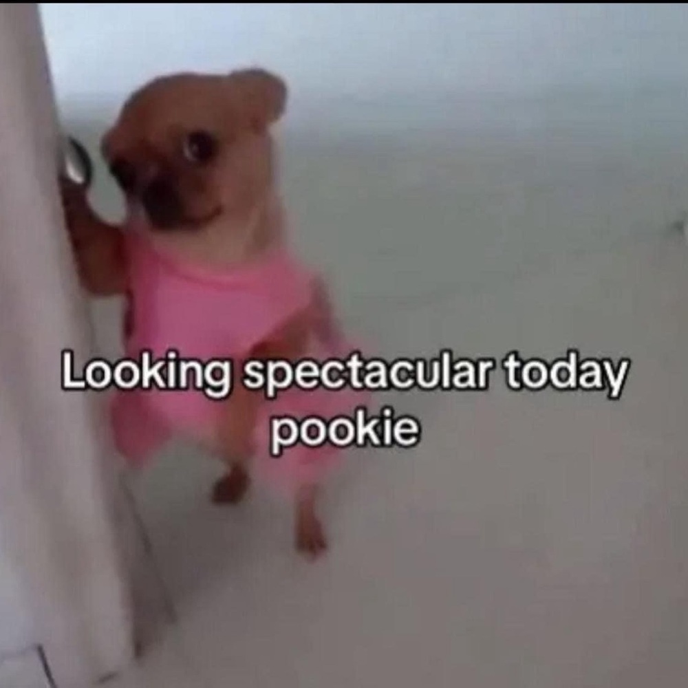 Meet your Posher, Shereen